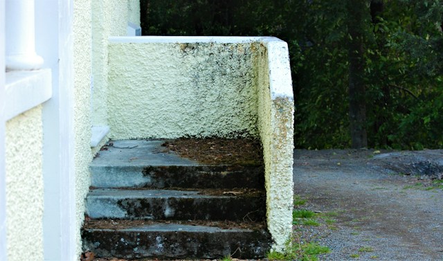 What Areas of a Condo Are Most Likely to Hide Mold